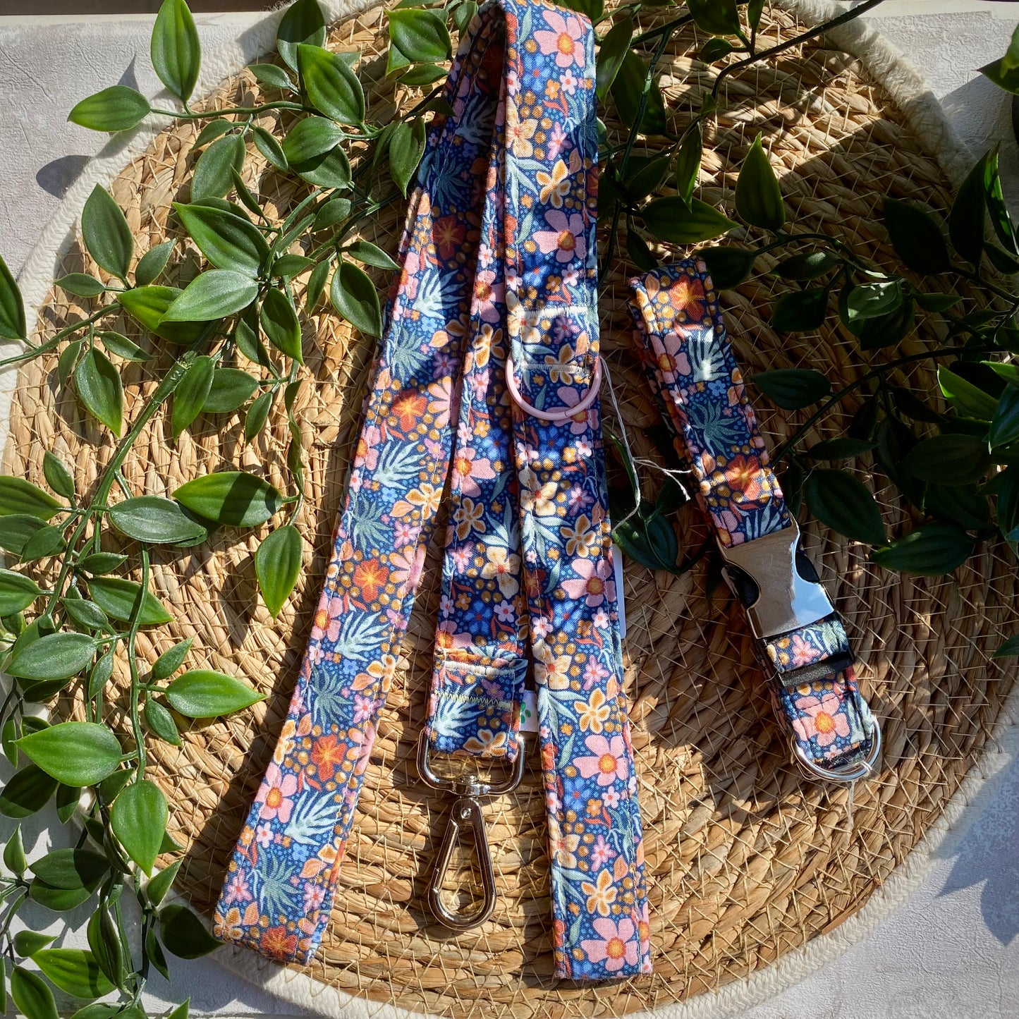 Correa - Primavera Azul