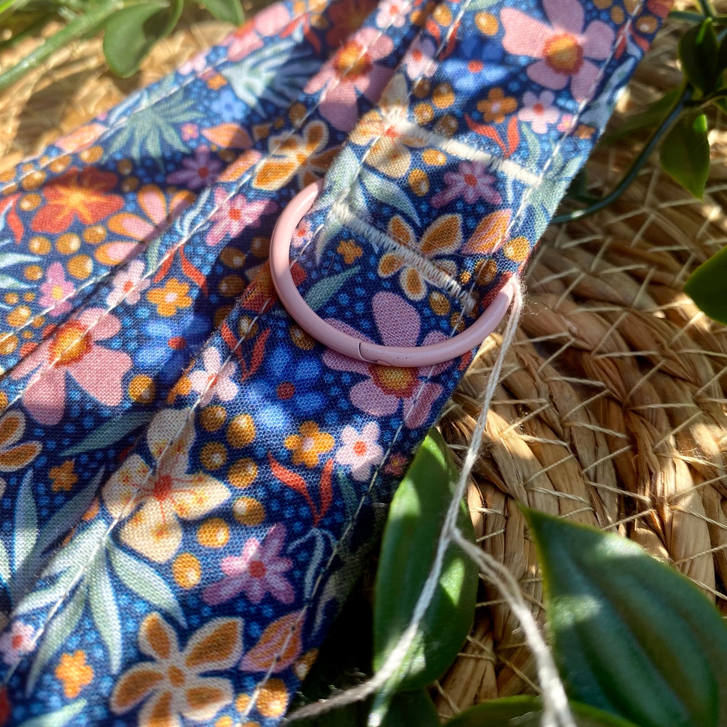 Correa - Primavera Azul