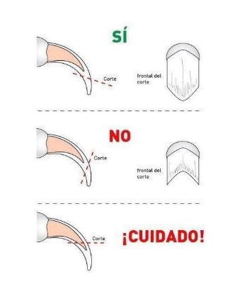 💅 Corte de uñas