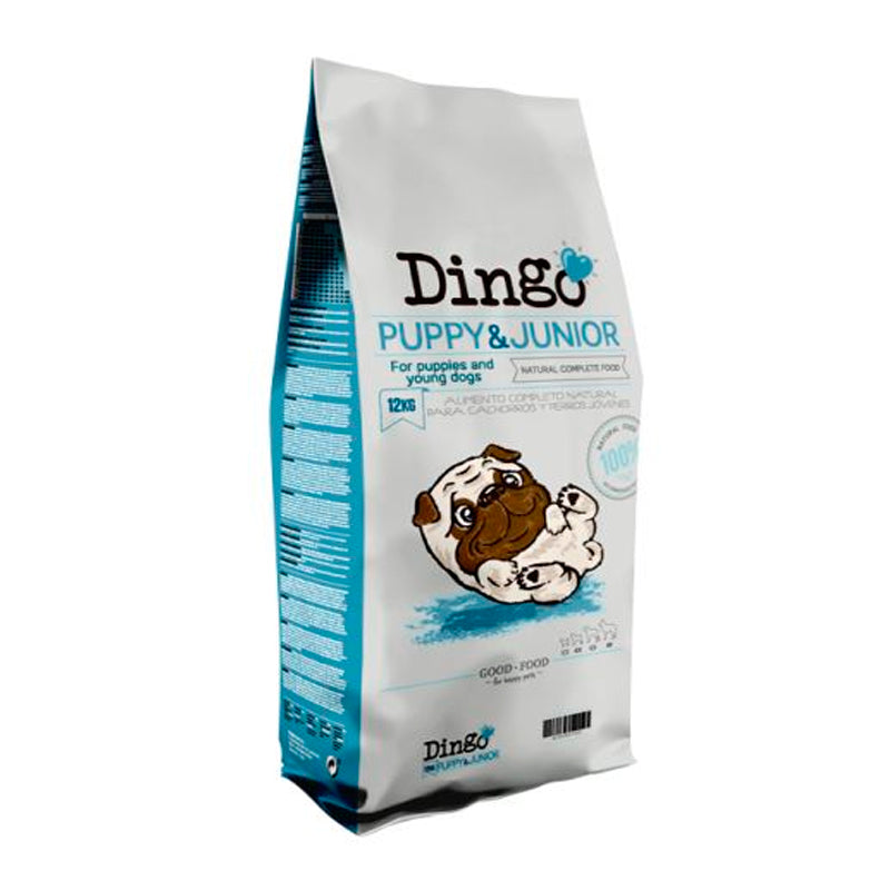 🥑🐶 Dingo puppy 3 kg
