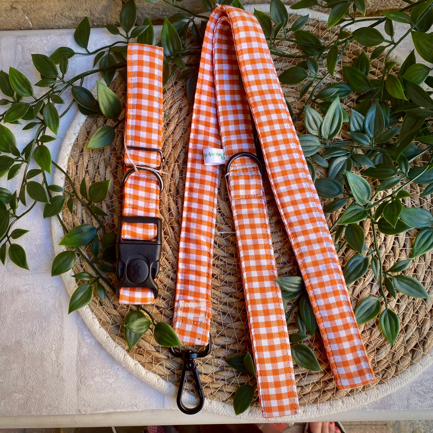 🐕🧡 Correa - Vichy Naranja