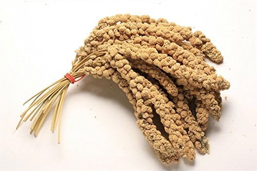 Panizo en Rama (mijo francés) - 1 kg