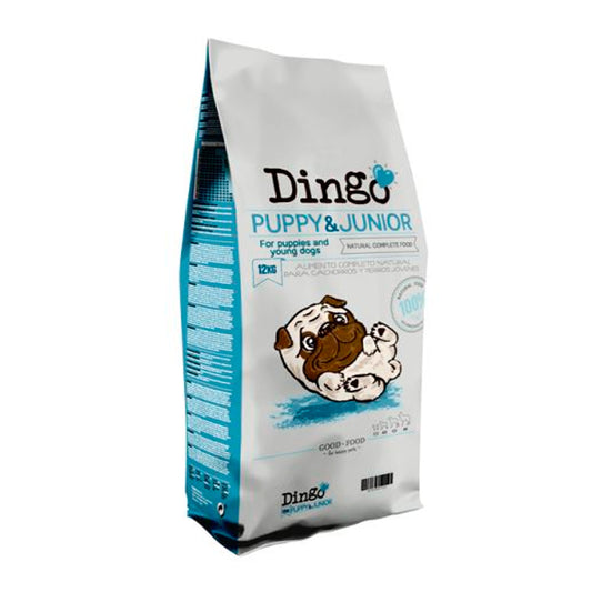 🥑🐶 Dingo puppy 3 kg