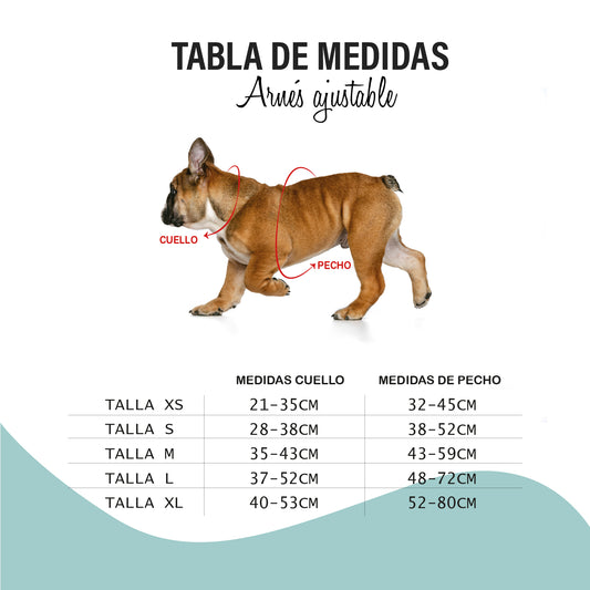 🔝🐾 Arnés Bull Confort Axel T2 - XS