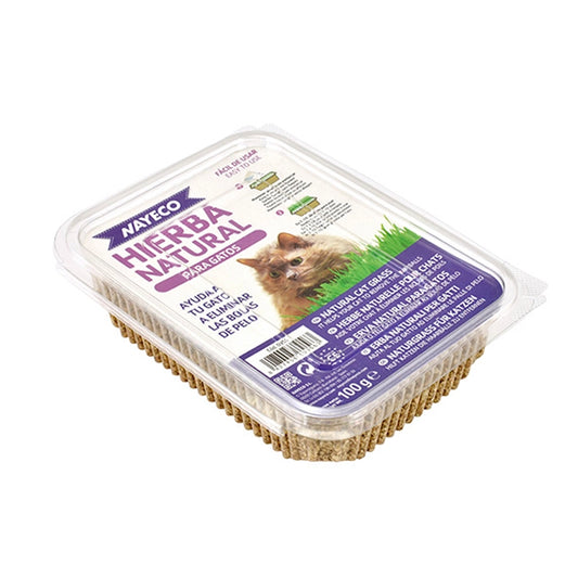 Hierba Natural para Gatos